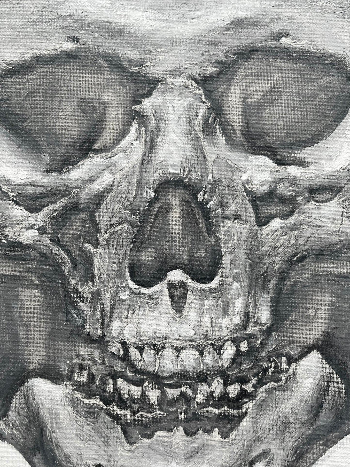 Skull