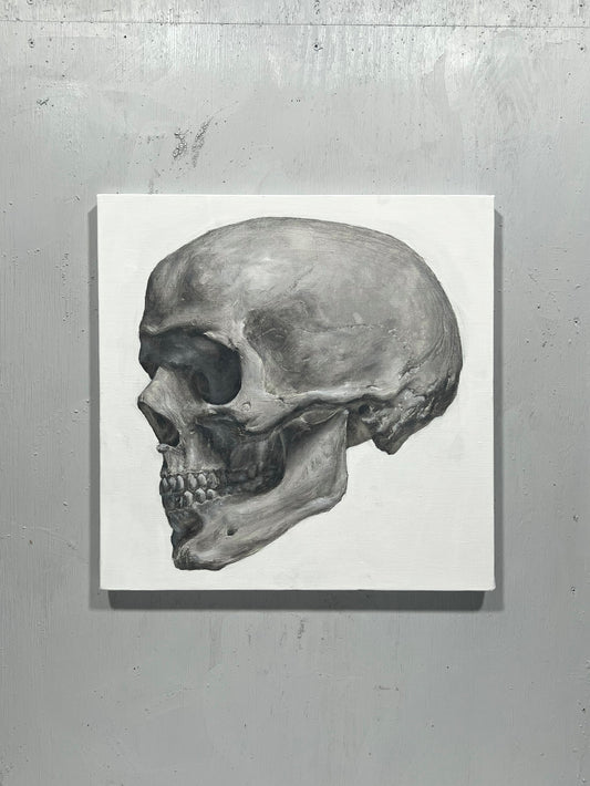 Skull 2