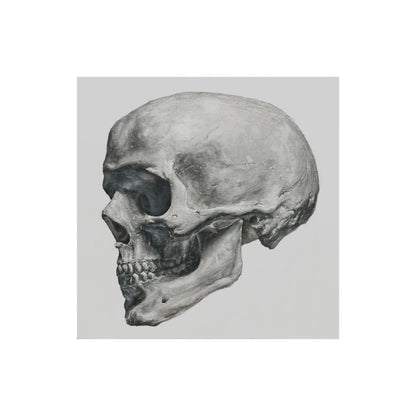 Skull 2